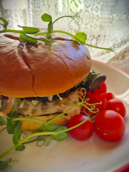 Kampsuni burger